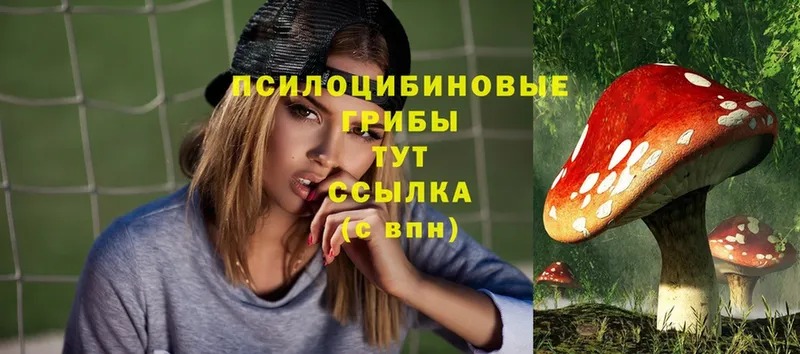 Псилоцибиновые грибы Magic Shrooms  это клад  Северск  что такое  